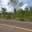  Land for sale in Udon Thani, Sam Phrao, Mueang Udon Thani, Udon Thani