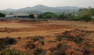 N/A Grundstück zu verkaufen in Ngao, Chiang Rai 