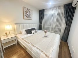 1 Bedroom Apartment for sale at Regent Home Sukhumvit 81, Suan Luang, Suan Luang, Bangkok, Thailand