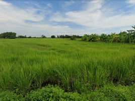 Land for sale in Pak Phli, Nakhon Nayok, Pak Phli, Pak Phli