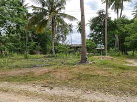  Land for sale in Nakhon Si Thammarat, Sao Phao, Sichon, Nakhon Si Thammarat