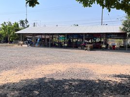  Land for sale in Prasat Thanong, Prasat, Prasat Thanong