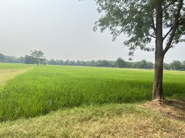  Land for sale in Kanchanaburi, Tha Makham, Mueang Kanchanaburi, Kanchanaburi