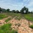 ขายที่ดิน ใน พัฒนานิคม, ลพบุรี, พัฒนานิคม, พัฒนานิคม