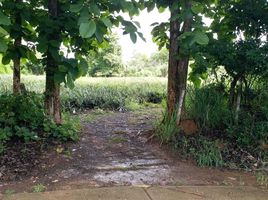  Land for sale in Chiang Rai, Pa Sang, Mae Chan, Chiang Rai