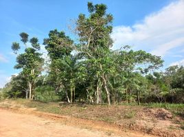  Grundstück zu verkaufen in Anama, Amazonas, Anama