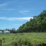  Land for sale in Pa Khlok, Thalang, Pa Khlok