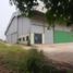  Warehouse for sale in Thailand, Wang Kai Thuean, Hankha, Chai Nat, Thailand