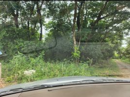  Land for sale in Wang Taku, Mueang Nakhon Pathom, Wang Taku