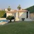 8 Bedroom Villa for sale at Rawda, Al Wahat Road