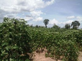  Land for sale in Banteay Srei, Siem Reap, Preah Dak, Banteay Srei