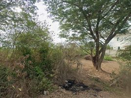  Land for sale in Mueang Ratchaburi, Ratchaburi, Phong Sawai, Mueang Ratchaburi