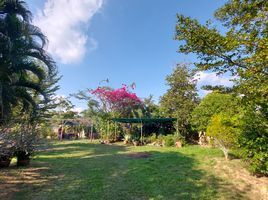 3 Schlafzimmer Villa zu verkaufen in Mueang Chiang Rai, Chiang Rai, San Sai