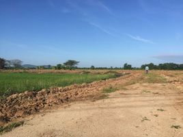  Land for sale in Chai Nat, Hang Nam Sakhon, Manorom, Chai Nat