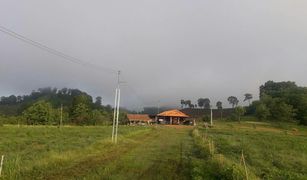 N/A Land for sale in Wang Chomphu, Phetchabun 