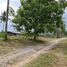  Land for sale in Sao Phao, Sichon, Sao Phao