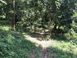  Land for sale in Mae Phun, Laplae, Mae Phun