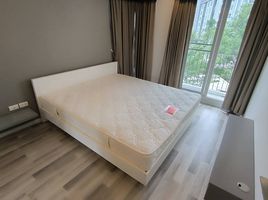 2 Schlafzimmer Wohnung zu vermieten im North 5 Condo Chiangmai, Suthep