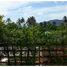 4 Bedroom Townhouse for sale in Phuket Town, Phuket, Chalong, Phuket Town
