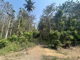  Land for sale in Hua Hin, Nong Phlap, Hua Hin