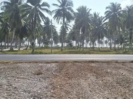  Land for sale in Nakhon Si Thammarat, Khanom, Khanom, Nakhon Si Thammarat