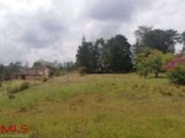  Grundstück zu verkaufen in Guarne, Antioquia, Guarne, Antioquia