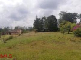  Land for sale in Colombia, Guarne, Antioquia, Colombia