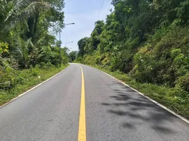 Land for sale in Phuket, Thep Krasattri, Thalang, Phuket