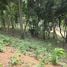  Land for sale in Ao Nang, Krabi, Ao Nang, Mueang Krabi