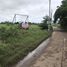  Grundstück zu verkaufen in Wichian Buri, Phetchabun, Phu Toei, Wichian Buri, Phetchabun