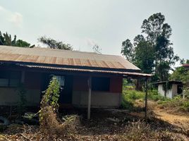 3 Schlafzimmer Haus zu verkaufen in Sankhaburi, Chai Nat, Phraek Si Racha, Sankhaburi, Chai Nat