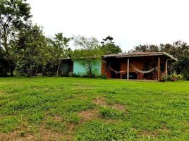  Land for sale in Guanacaste, Tilaran, Guanacaste