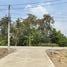  Land for sale in Sam Khok, Pathum Thani, Ban Pathum, Sam Khok