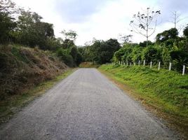  Grundstück zu verkaufen in Tilaran, Guanacaste, Tilaran, Guanacaste