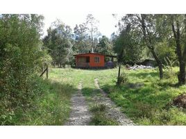  Land for sale in Valdivia, Los Rios, Mariquina, Valdivia