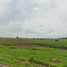  Land for sale in Mae Sot, Tak, Mae Pa, Mae Sot