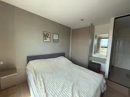 Studio Apartment for sale at Zcape I, Choeng Thale, Thalang
