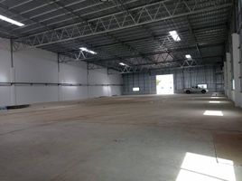  Warehouse for rent in Mueang Nakhon Ratchasima, Nakhon Ratchasima, Nong Bua Sala, Mueang Nakhon Ratchasima