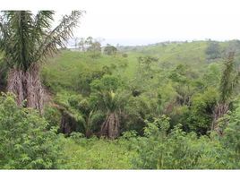  Land for sale in Aguarico, Orellana, Yasuni, Aguarico