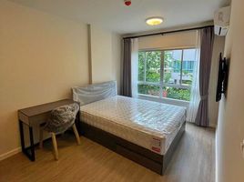 1 Schlafzimmer Appartement zu vermieten im Dcondo Rin, Fa Ham, Mueang Chiang Mai, Chiang Mai, Thailand