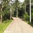  Land for sale in Samui Elephant Spa, Lipa Noi, Taling Ngam