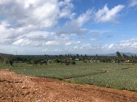  Land for sale in Wang Phong, Pran Buri, Wang Phong