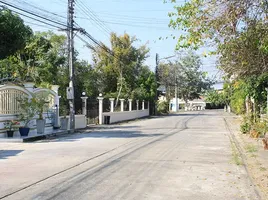  Land for sale at Sinthana Village, San Phranet, San Sai, Chiang Mai