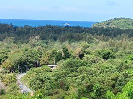  Land for sale in Thalang, Phuket, Choeng Thale, Thalang