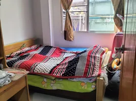 5 Schlafzimmer Haus zu verkaufen in Mueang Chiang Mai, Chiang Mai, Chang Moi