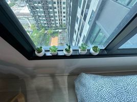 1 Schlafzimmer Appartement zu vermieten im Life Asoke, Bang Kapi