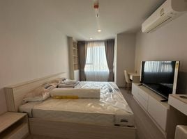 คอนโด 2 ห้องนอน ให้เช่า ในโครงการ ไลฟ์ ลาดพร้าว, จอมพล