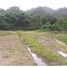  Land for sale in Cartago, Paraiso, Cartago