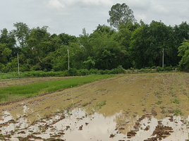  Land for sale in Mueang Khon Kaen, Khon Kaen, Sila, Mueang Khon Kaen