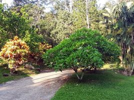  Grundstück zu verkaufen in Thalang, Phuket, Sakhu